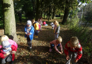 Dzieci rozproszone po parku spacerują z pochyloną głową i szukają kasztanów. Chłopiec w niebieskiej kurtce trzyma w lewej dłoni kilka kasztanów.